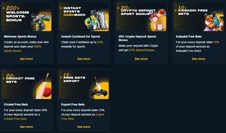 Rajabets cricket betting Rajabets cricket betting